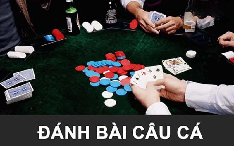 Cách chơi bài câu cá