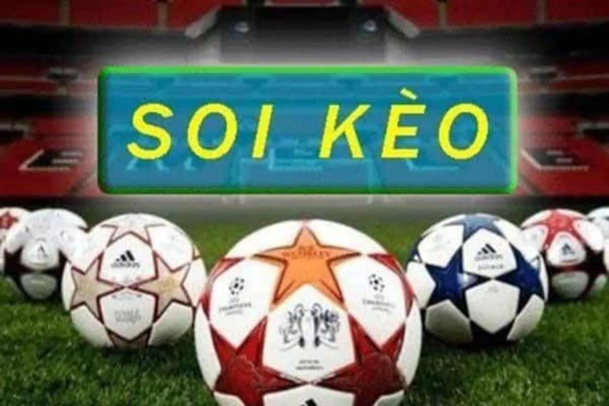 soi kèo bóng chuyền có gì khác với soi kèo bóng đá