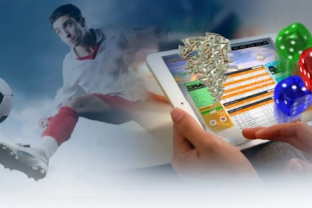 thế nào là nhà cái đáng tin cậy tham gia cá cược