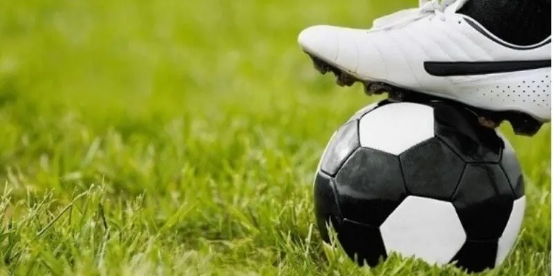 Bí Kíp Bắt Kèo Đồng Banh Nửa Trái Hiệu Quả Nhất Năm 2024